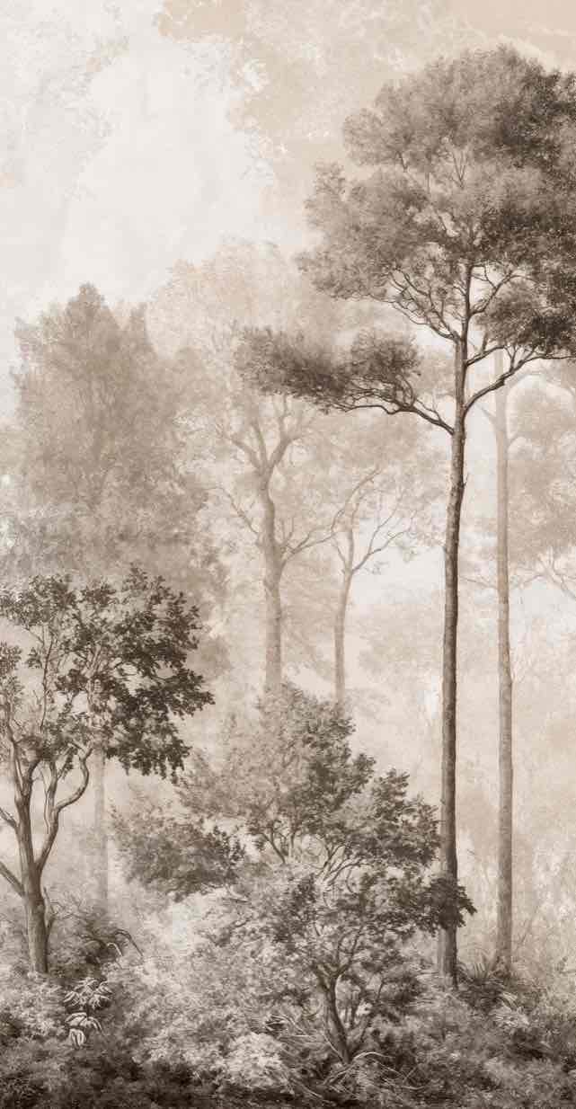 Forêt des Silences – Papier Peint Arbres Enveloppés de Brume Douce en Sépia - Illulart: Papier peint panoramique
