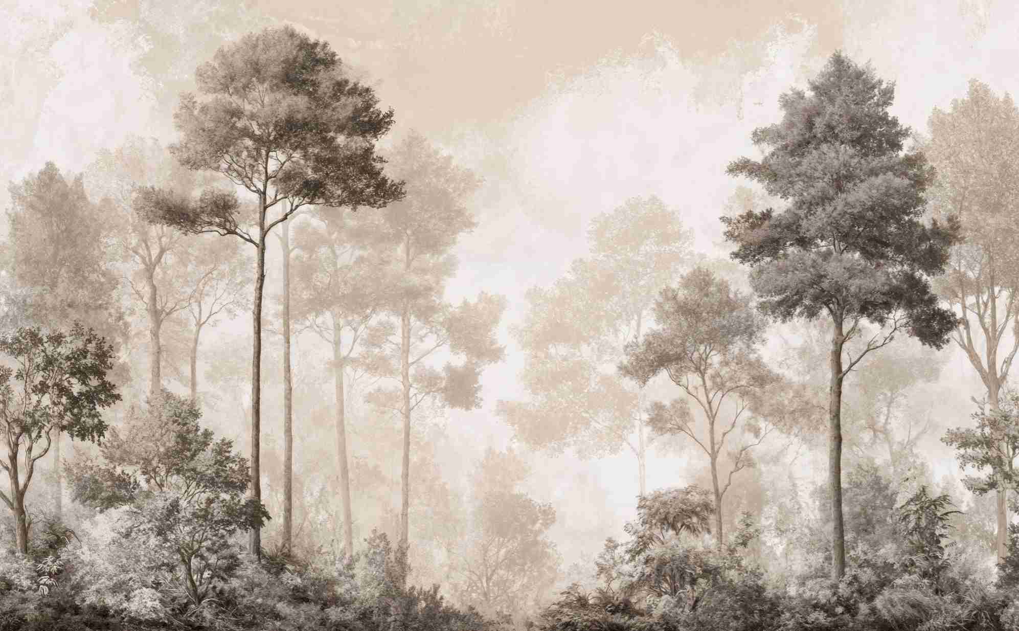 Forêt des Silences – Papier Peint Arbres Enveloppés de Brume Douce en Sépia