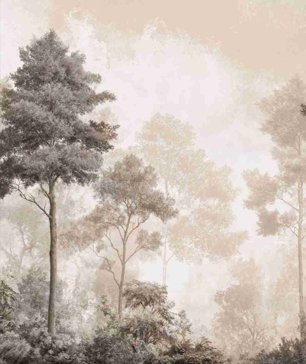 Forêt des Silences – Papier Peint Arbres Enveloppés de Brume Douce en Sépia - Illulart: Papier peint panoramique