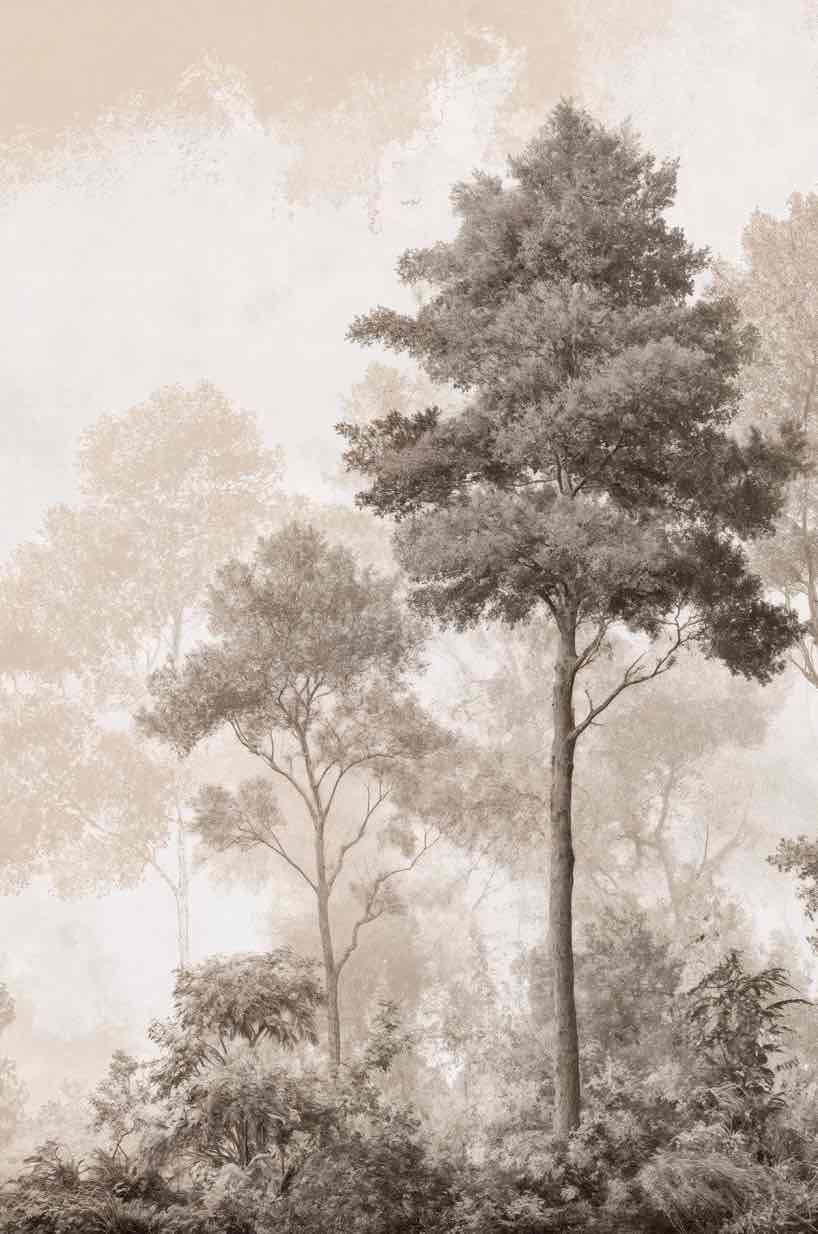 Forêt des Silences – Papier Peint Arbres Enveloppés de Brume Douce en Sépia - Illulart: Papier peint panoramique