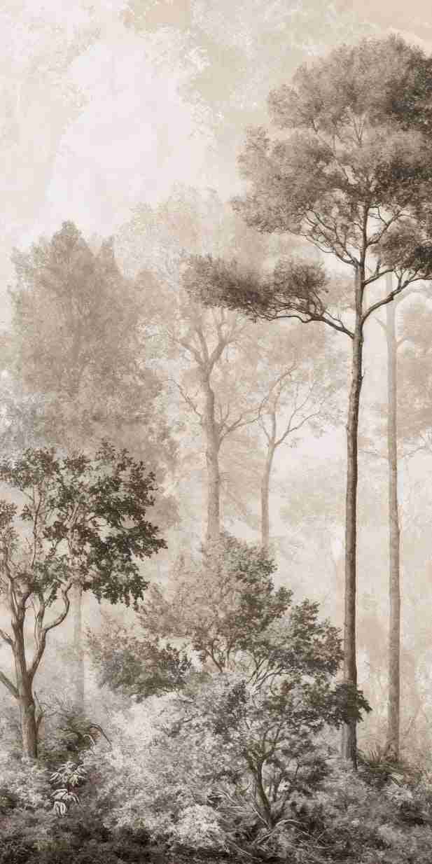 Forêt des Silences – Papier Peint Arbres Enveloppés de Brume Douce en Sépia - Illulart: Papier peint panoramique