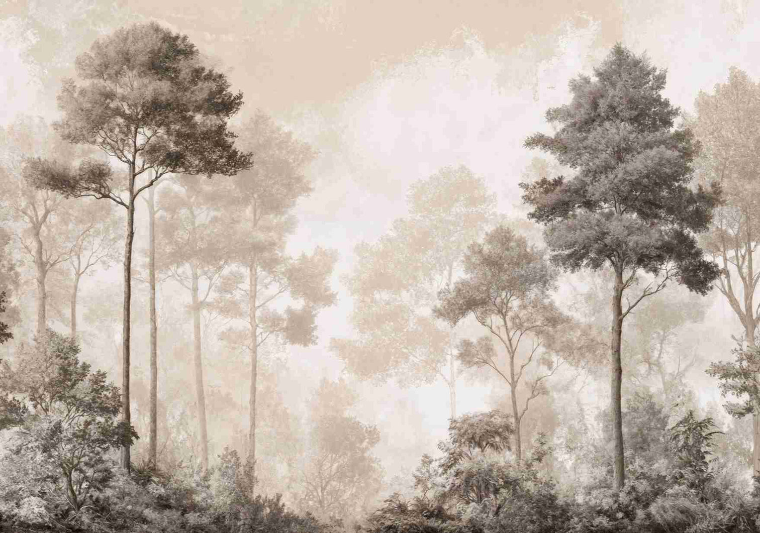Forêt des Silences – Papier Peint Arbres Enveloppés de Brume Douce en Sépia - Illulart: Papier peint panoramique