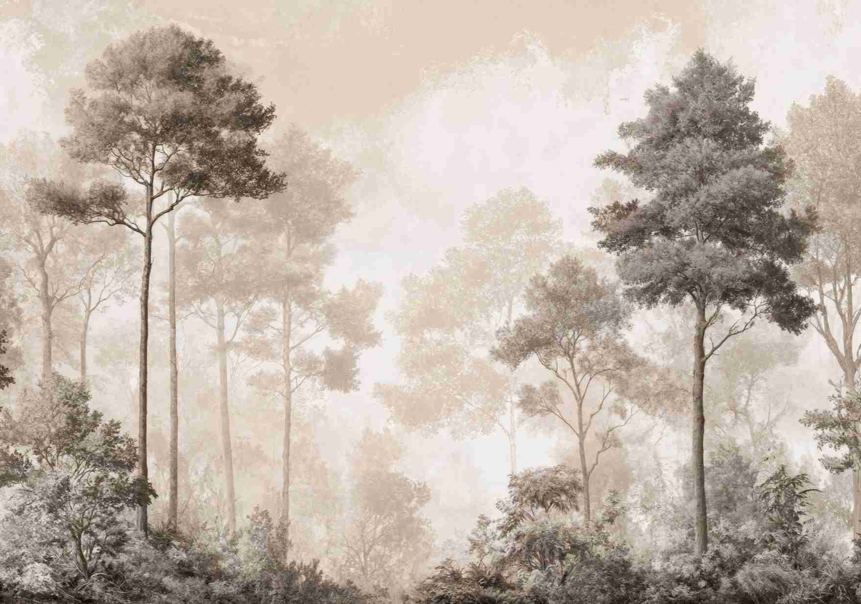 Forêt des Silences – Papier Peint Arbres Enveloppés de Brume Douce en Sépia