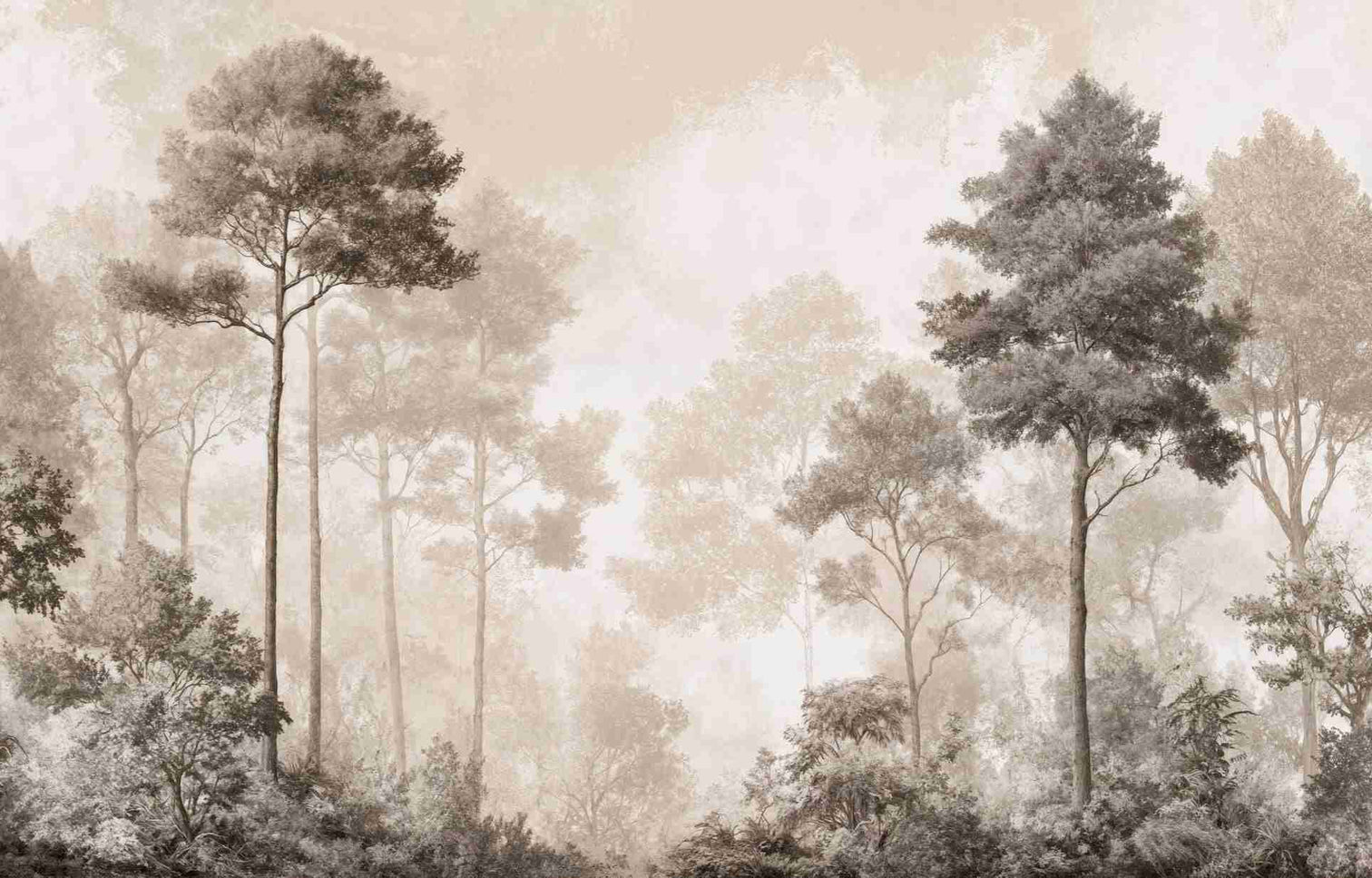 Forêt des Silences – Papier Peint Arbres Enveloppés de Brume Douce en Sépia - Illulart: Papier peint panoramique