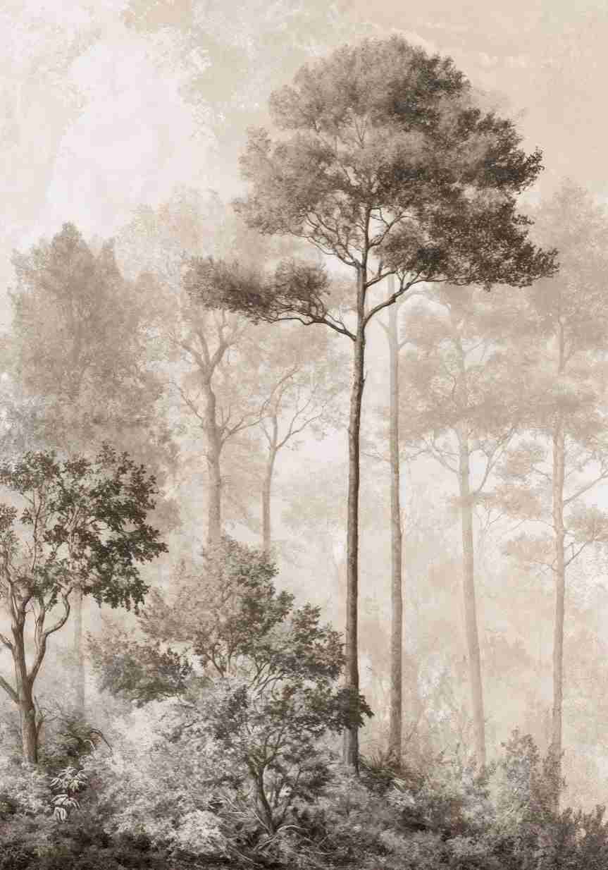 Forêt des Silences – Papier Peint Arbres Enveloppés de Brume Douce en Sépia - Illulart: Papier peint panoramique