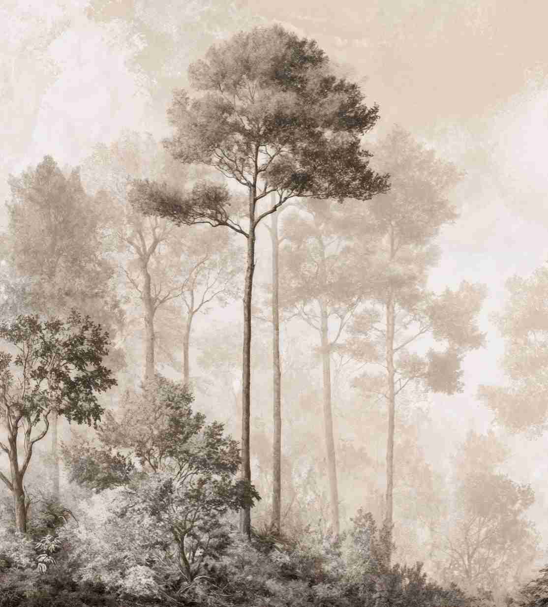 Forêt des Silences – Papier Peint Arbres Enveloppés de Brume Douce en Sépia - Illulart: Papier peint panoramique