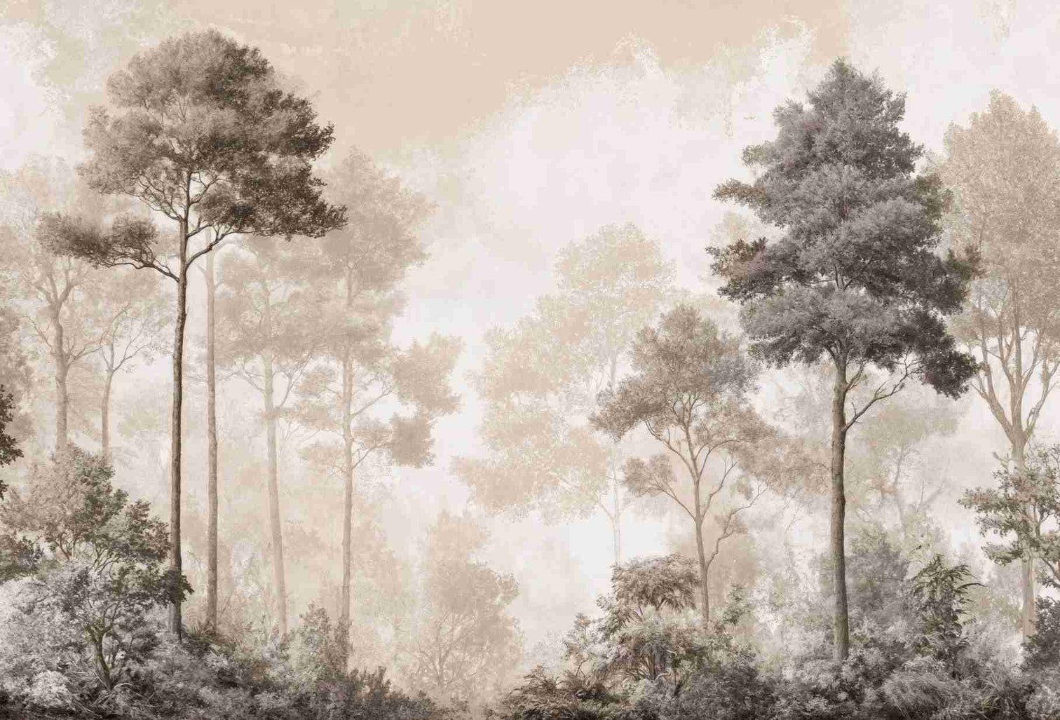 Forêt des Silences – Papier Peint Arbres Enveloppés de Brume Douce en Sépia - Illulart: Papier peint panoramique