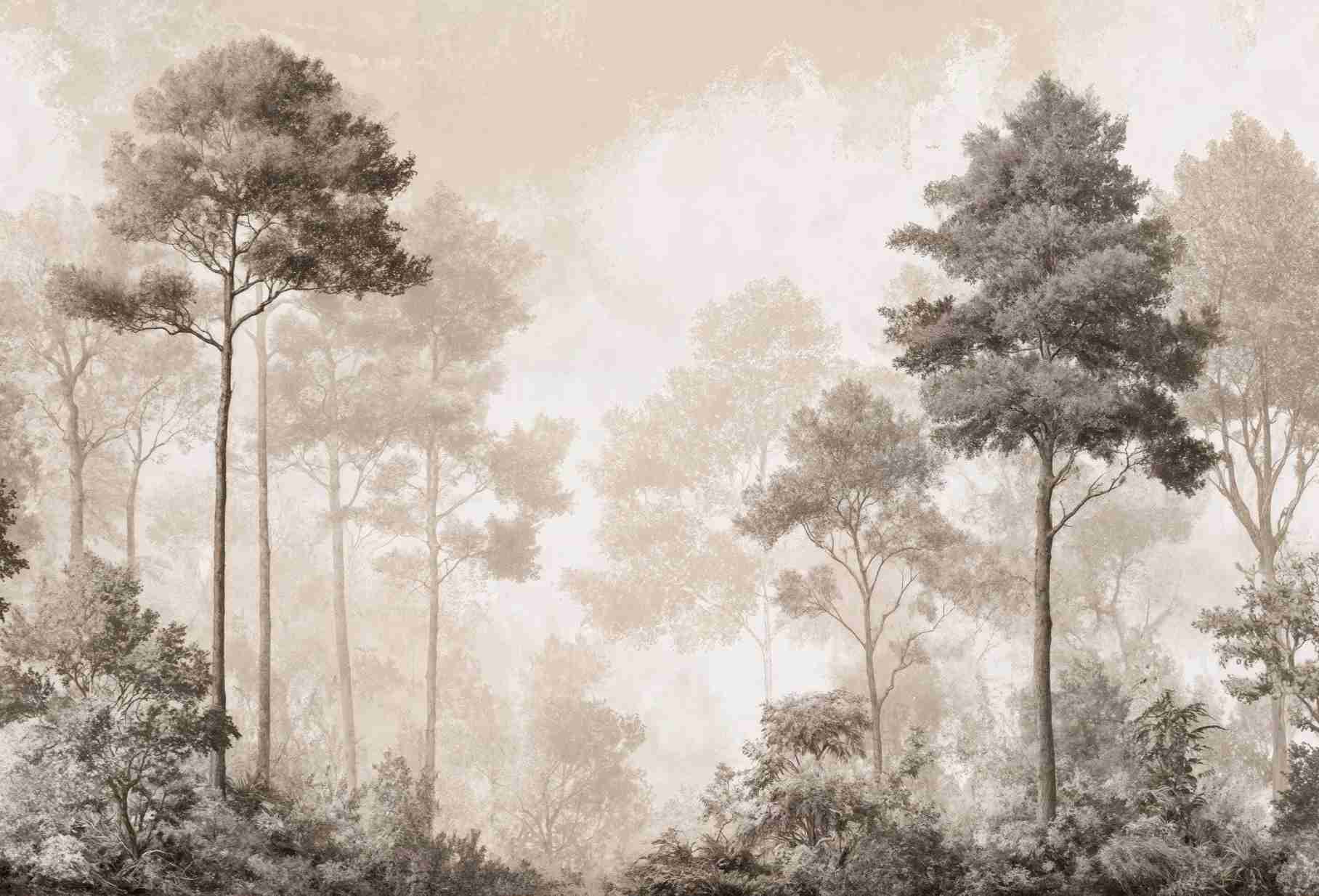 Forêt des Silences – Papier Peint Arbres Enveloppés de Brume Douce en Sépia