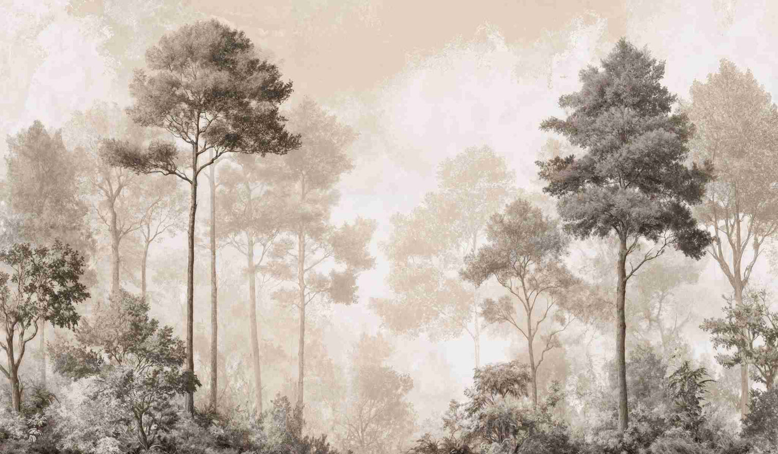 Forêt des Silences – Papier Peint Arbres Enveloppés de Brume Douce en Sépia - Illulart: Papier peint panoramique