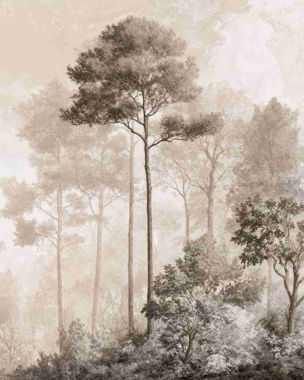 Forêt des Silences – Papier Peint Arbres Enveloppés de Brume Douce en Sépia - Illulart: Papier peint panoramique