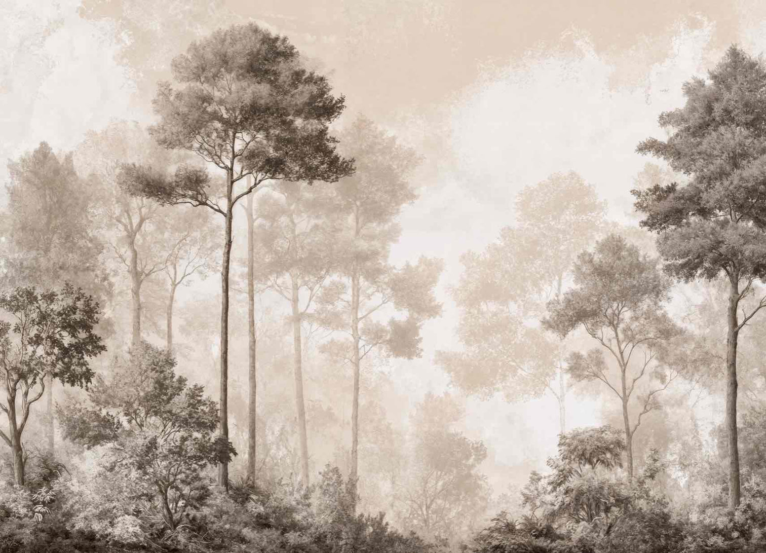 Forêt des Silences – Papier Peint Arbres Enveloppés de Brume Douce en Sépia - Illulart: Papier peint panoramique