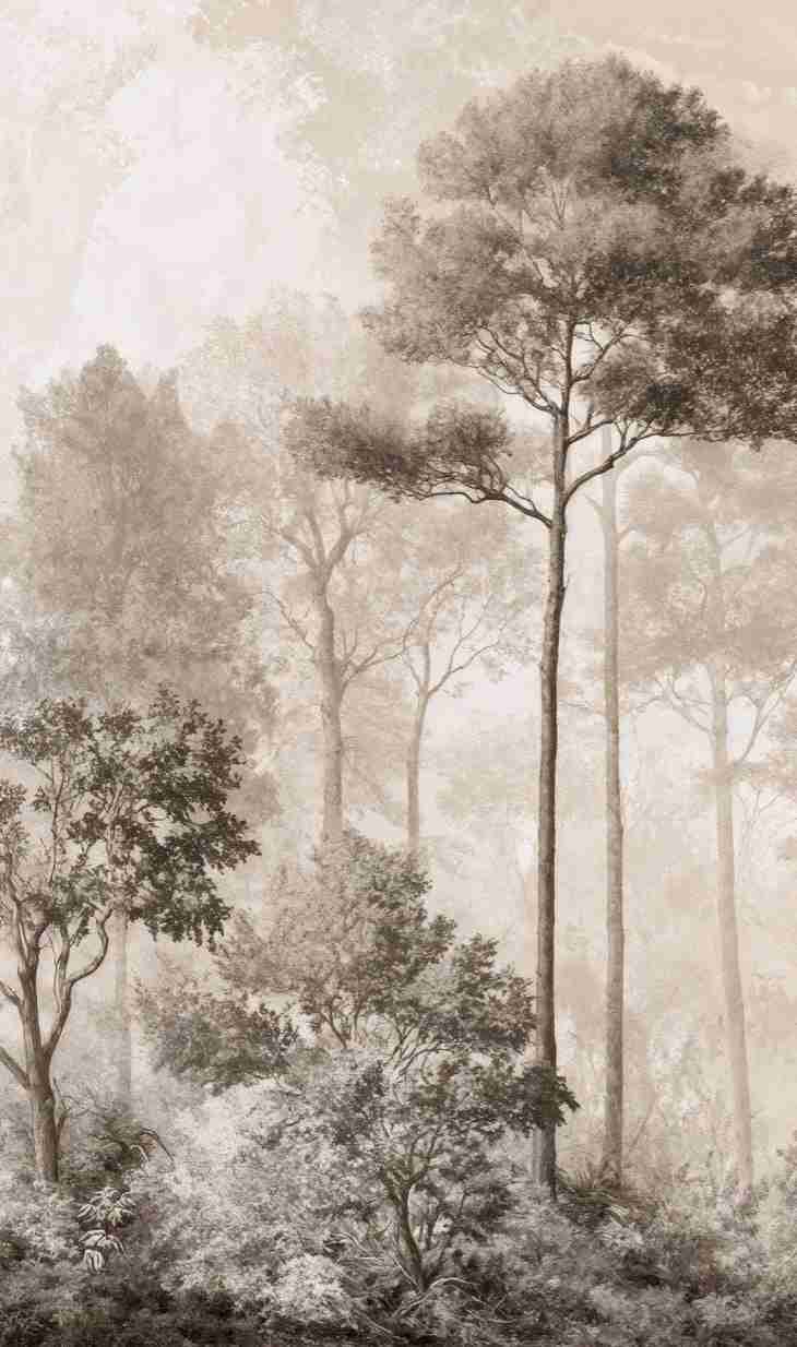 Forêt des Silences – Papier Peint Arbres Enveloppés de Brume Douce en Sépia - Illulart: Papier peint panoramique