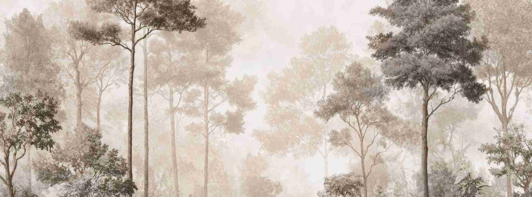 Forêt des Silences – Papier Peint Arbres Enveloppés de Brume Douce en Sépia