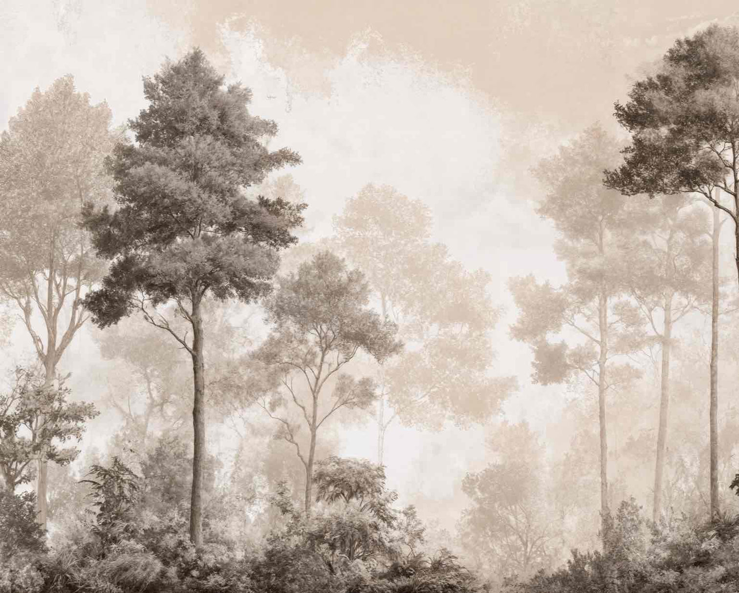 Forêt des Silences – Papier Peint Arbres Enveloppés de Brume Douce en Sépia - Illulart: Papier peint panoramique