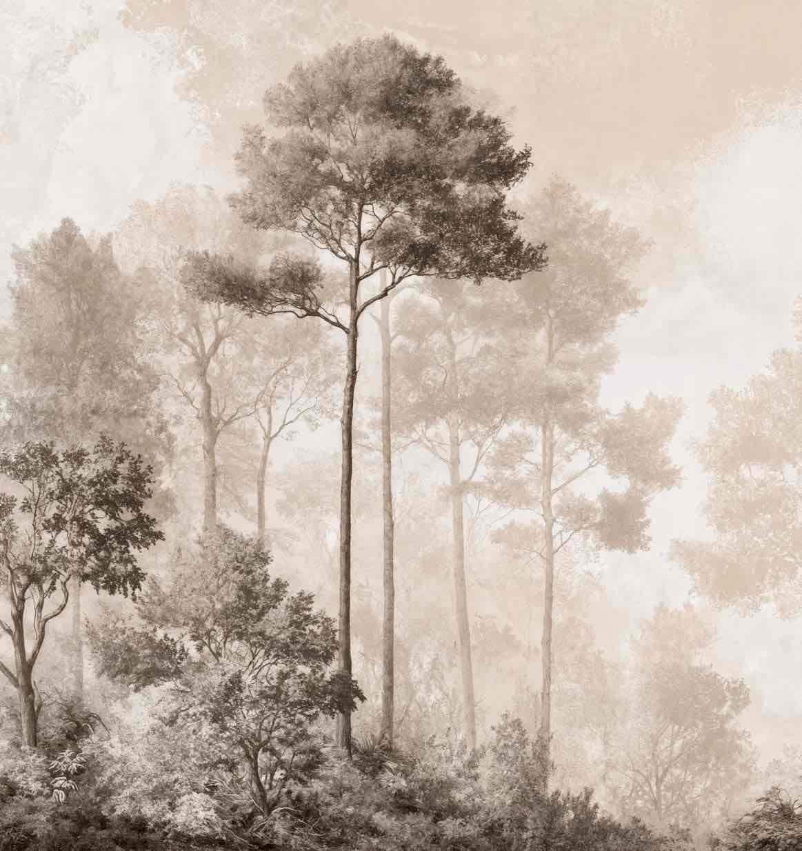 Forêt des Silences – Papier Peint Arbres Enveloppés de Brume Douce en Sépia