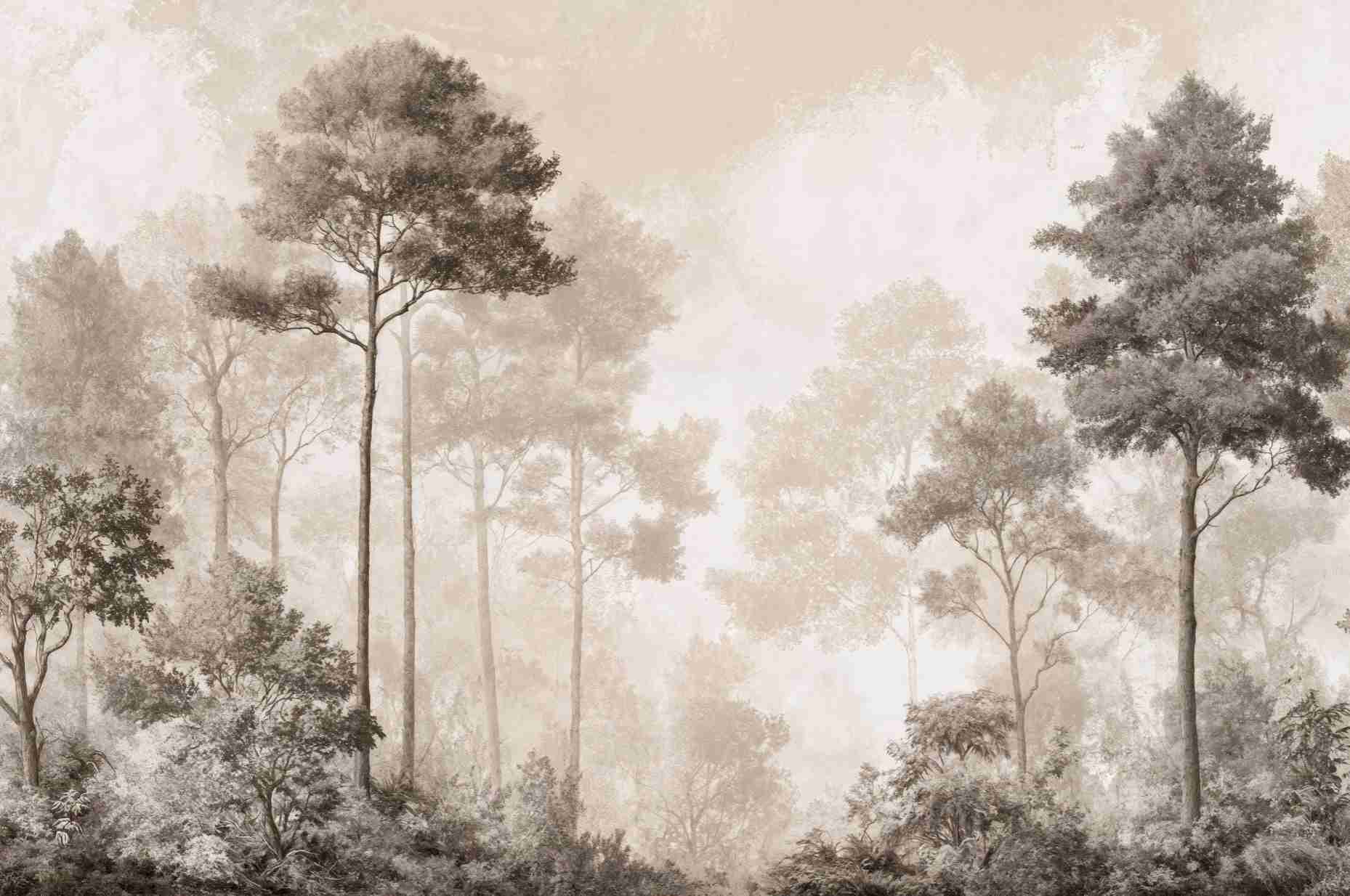 Forêt des Silences – Papier Peint Arbres Enveloppés de Brume Douce en Sépia