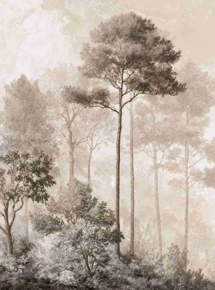 Forêt des Silences – Papier Peint Arbres Enveloppés de Brume Douce en Sépia - Illulart: Papier peint panoramique