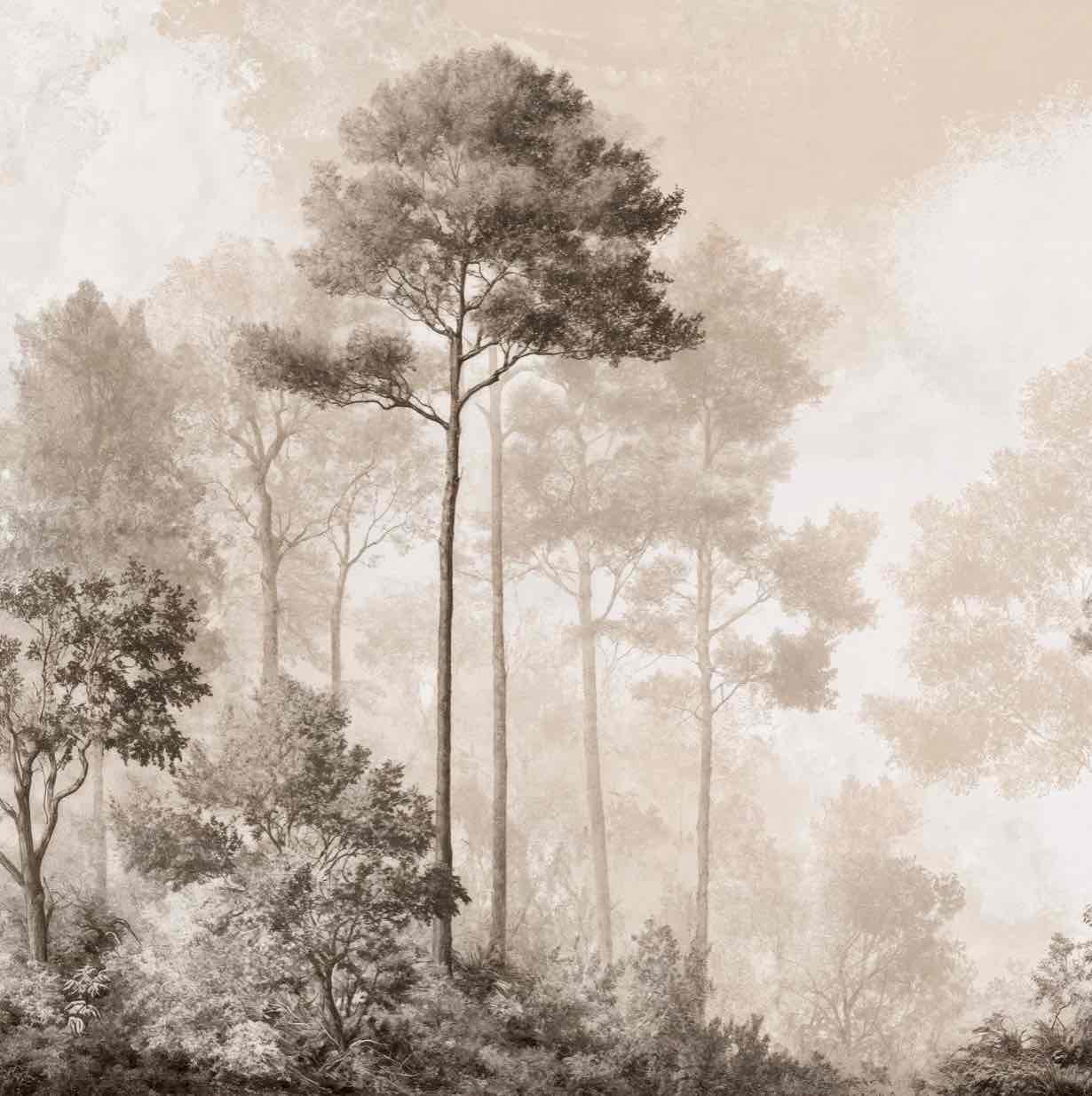 Forêt des Silences – Papier Peint Arbres Enveloppés de Brume Douce en Sépia - Illulart: Papier peint panoramique