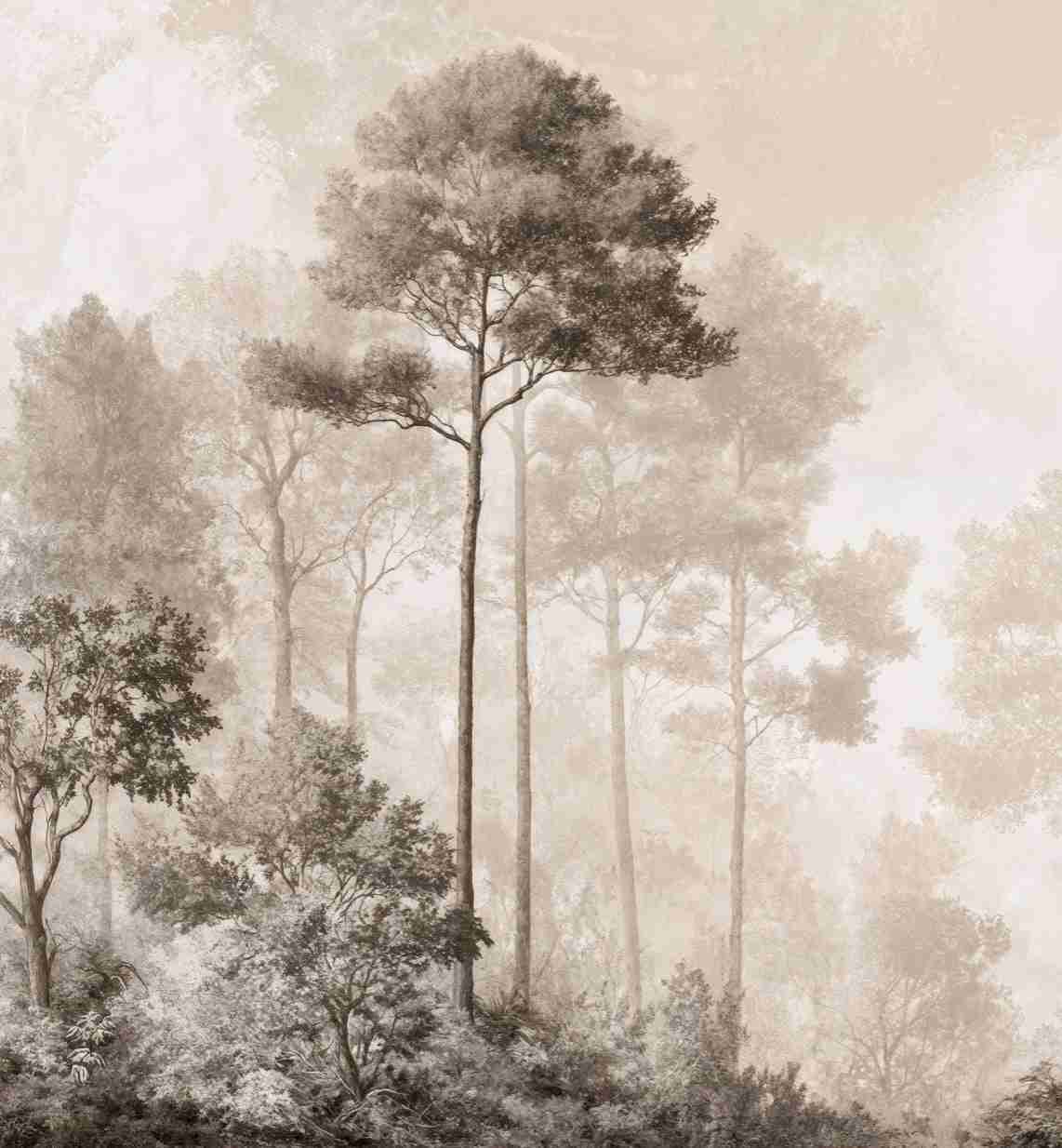 Forêt des Silences – Papier Peint Arbres Enveloppés de Brume Douce en Sépia