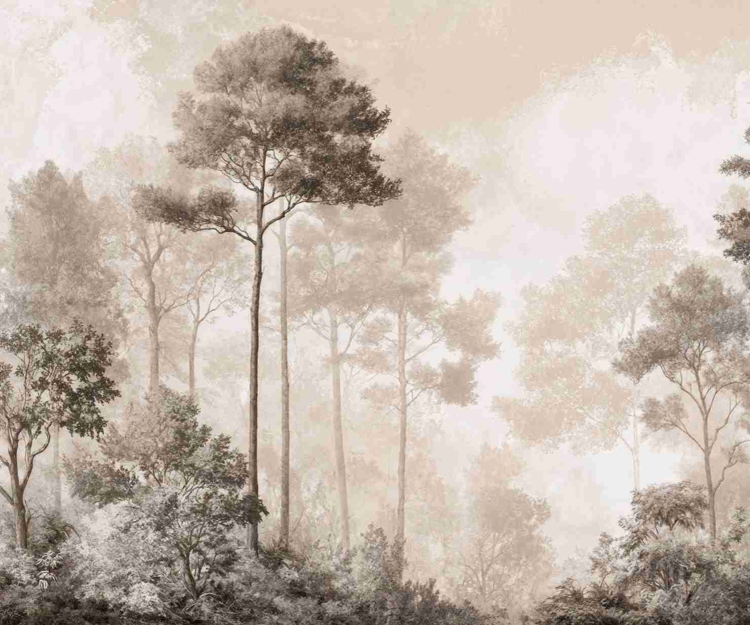 Forêt des Silences – Papier Peint Arbres Enveloppés de Brume Douce en Sépia - Illulart: Papier peint panoramique