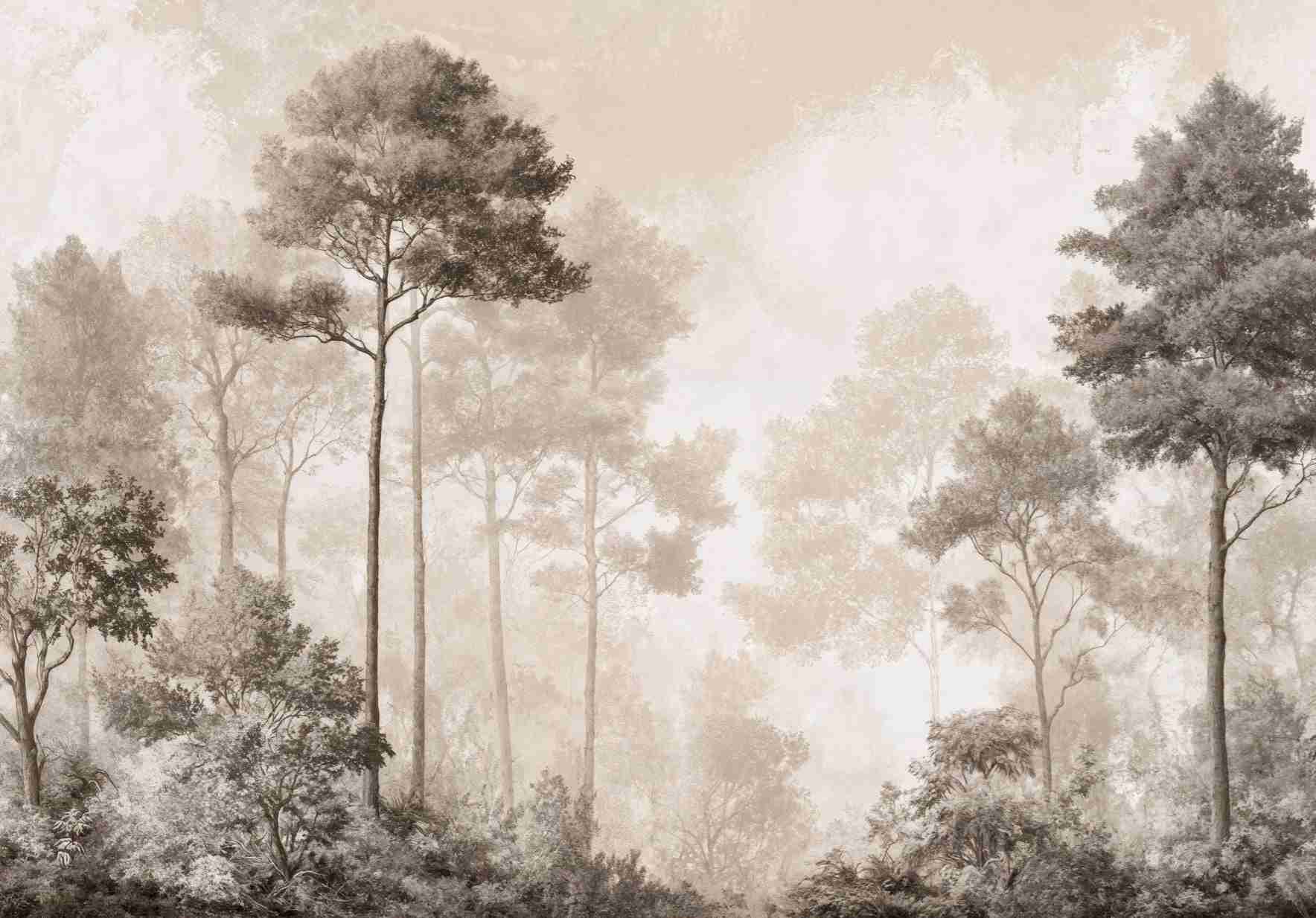 Forêt des Silences – Papier Peint Arbres Enveloppés de Brume Douce en Sépia