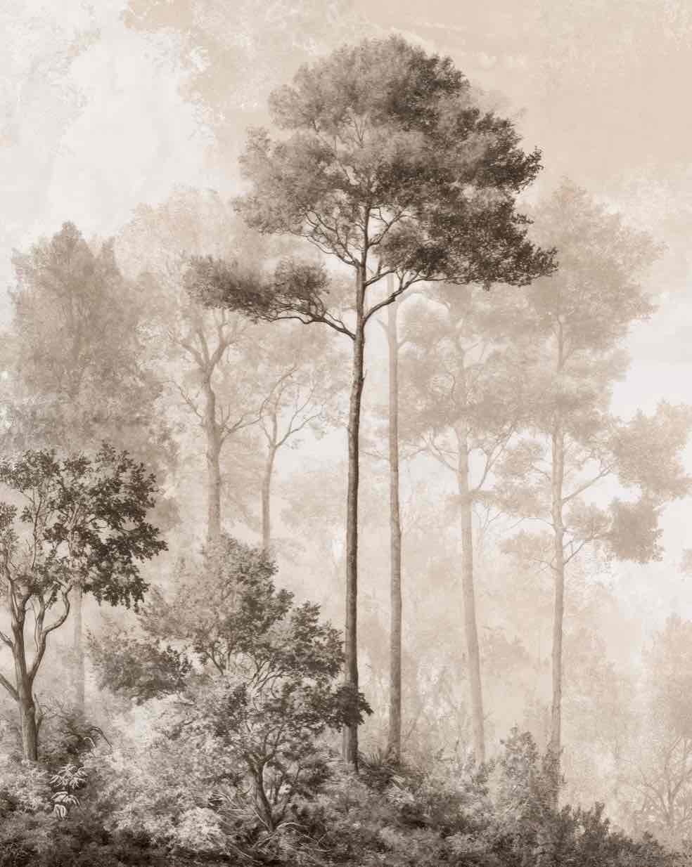 Forêt des Silences – Papier Peint Arbres Enveloppés de Brume Douce en Sépia - Illulart: Papier peint panoramique
