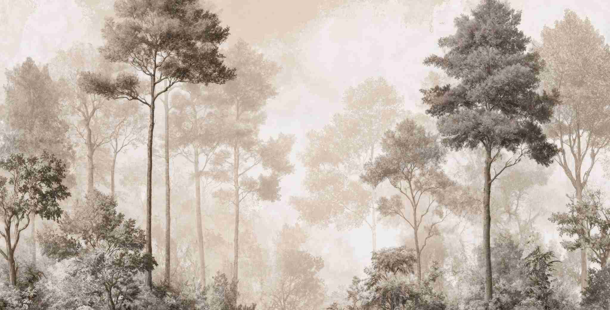 Forêt des Silences – Papier Peint Arbres Enveloppés de Brume Douce en Sépia