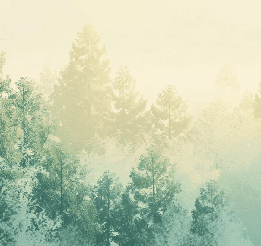 Frisson d'Émeraude : Papier Peint Panoramique Forêt Verdoyante - Illulart: Papier peint panoramique