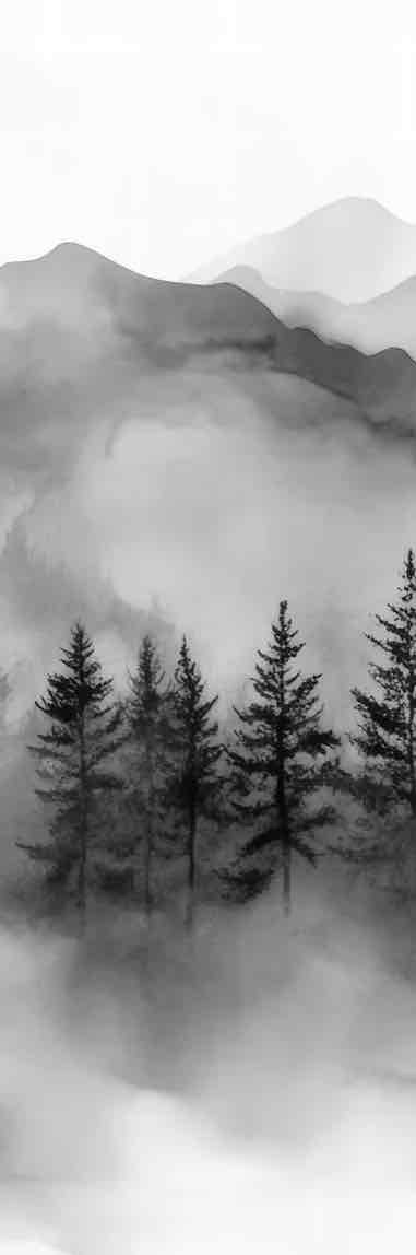 Harmonie brumeuse en noir et blanc – Papier Peint Montagnes & Forêt - Illulart: Papier peint panoramique
