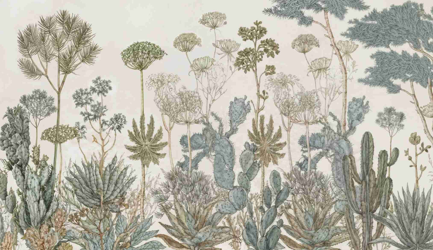 Herbarium Cactus – Papier peint botanique cactus aux tons doux et naturels - Illulart: Papier peint panoramique
