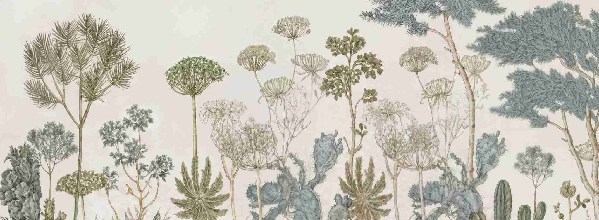 Herbarium Cactus – Papier peint botanique cactus aux tons doux et naturels