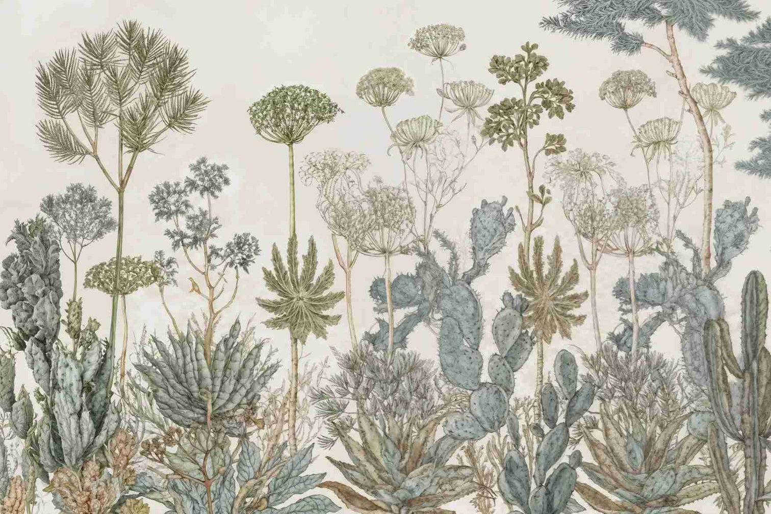 Herbarium Cactus – Papier peint botanique cactus aux tons doux et naturels - Illulart: Papier peint panoramique