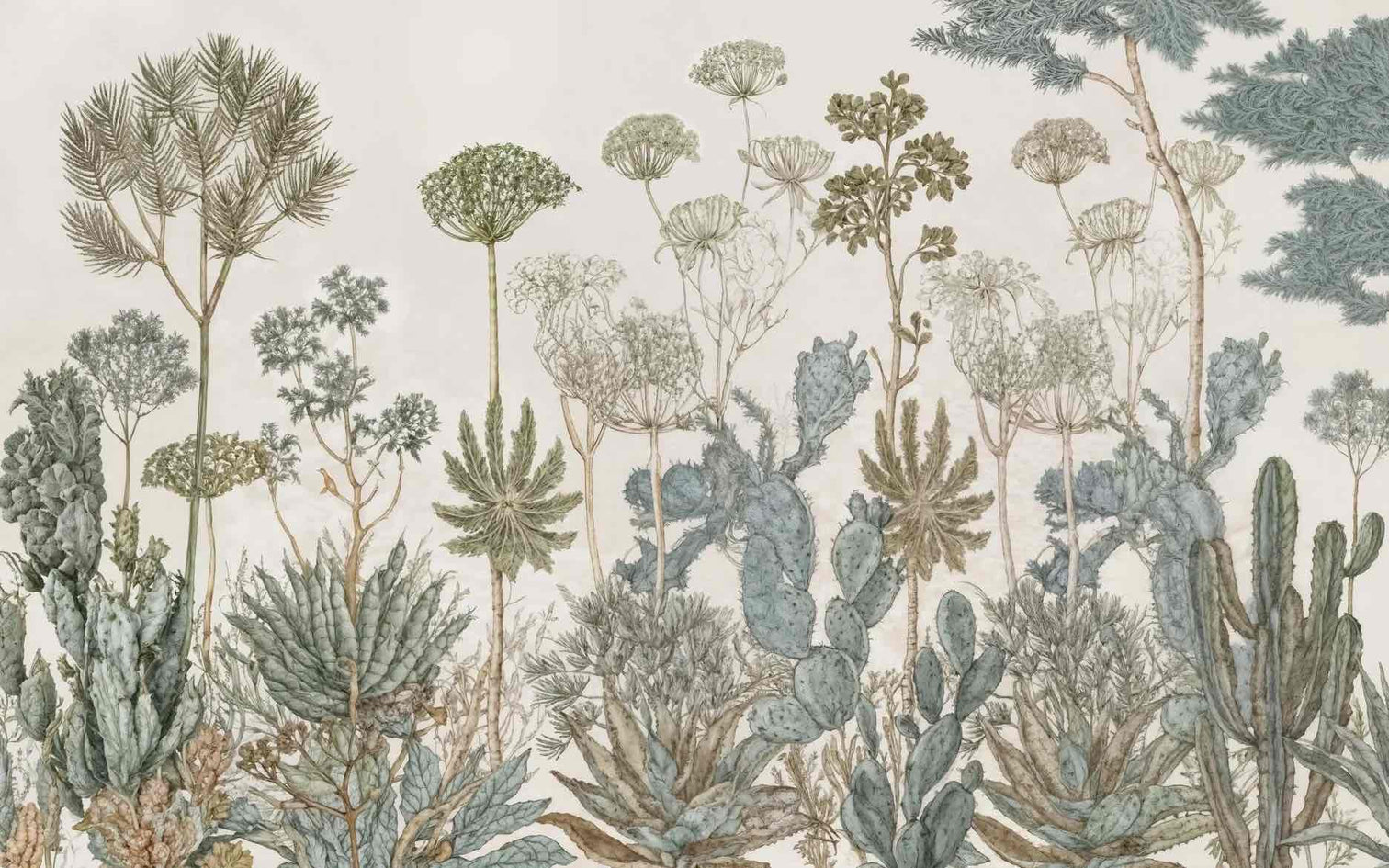 Herbarium Cactus – Papier peint botanique cactus aux tons doux et naturels - Illulart: Papier peint panoramique