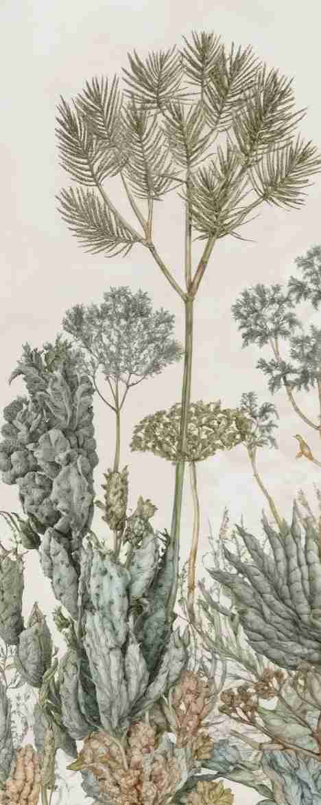Herbarium Cactus – Papier peint botanique cactus aux tons doux et naturels
