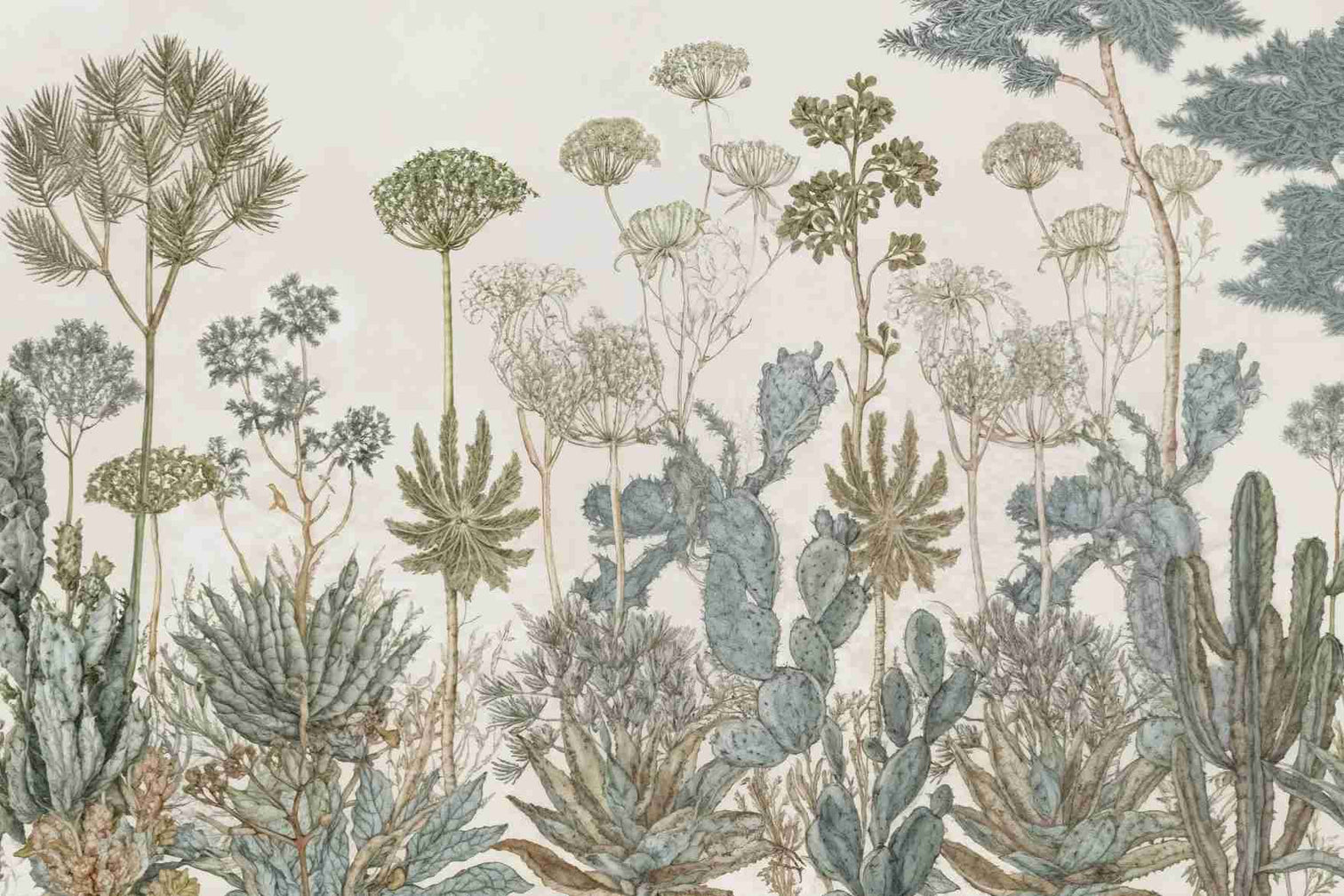 Herbarium Cactus – Papier peint botanique cactus aux tons doux et naturels - Illulart: Papier peint panoramique