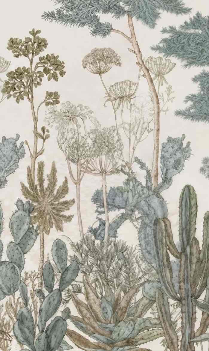 Herbarium Cactus – Papier peint botanique cactus aux tons doux et naturels - Illulart: Papier peint panoramique