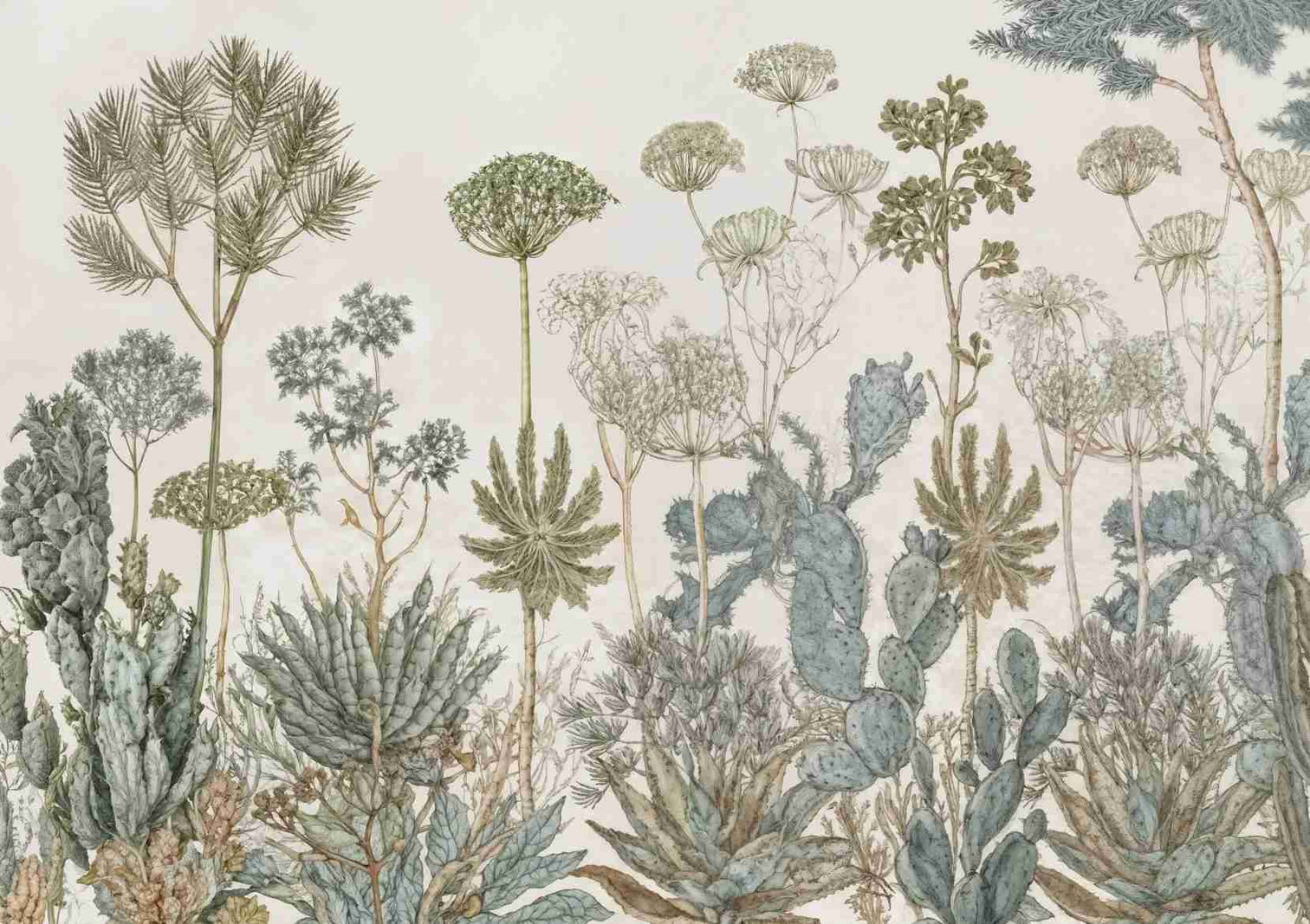 Herbarium Cactus – Papier peint botanique cactus aux tons doux et naturels - Illulart: Papier peint panoramique