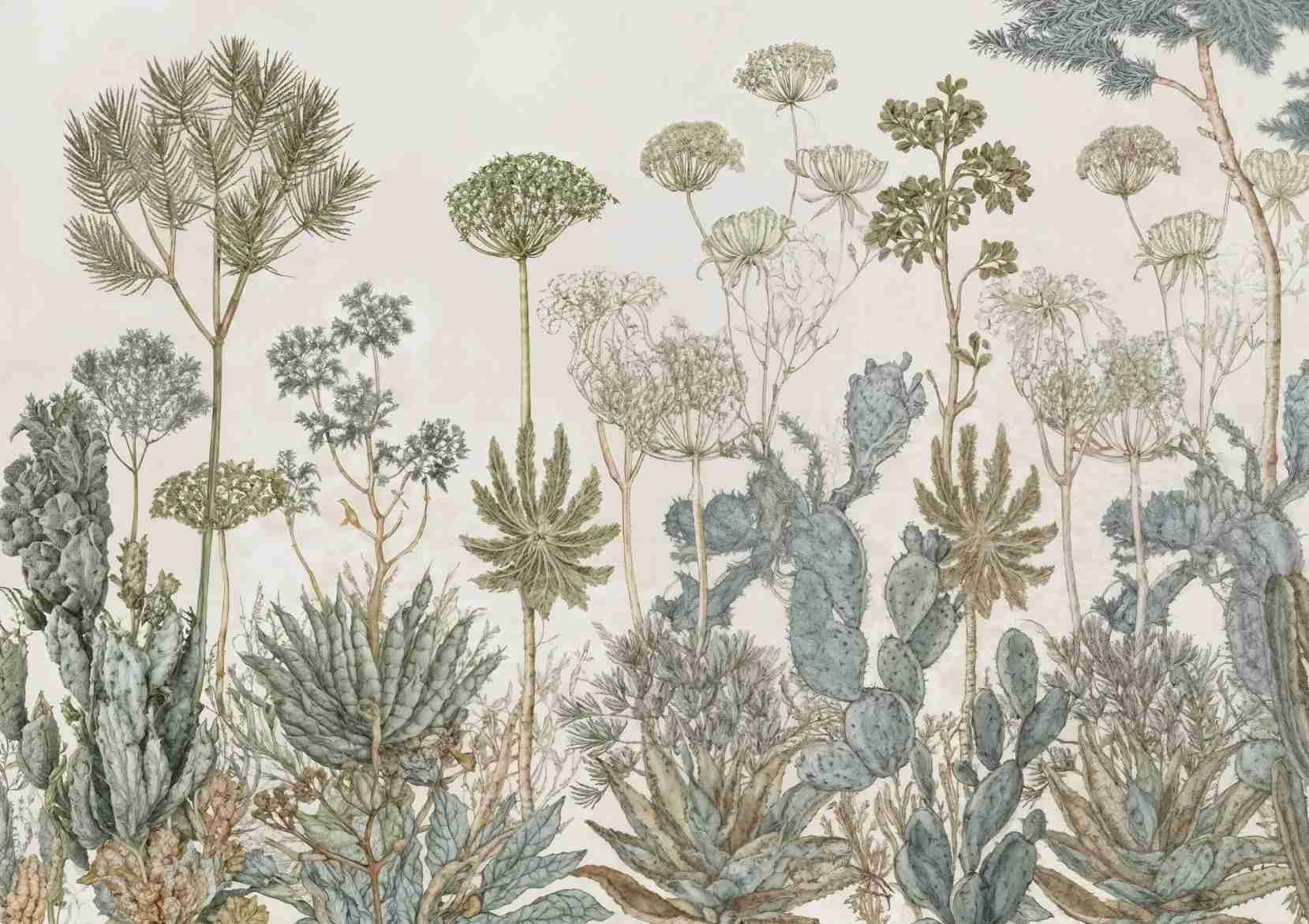 Herbarium Cactus – Papier peint botanique cactus aux tons doux et naturels