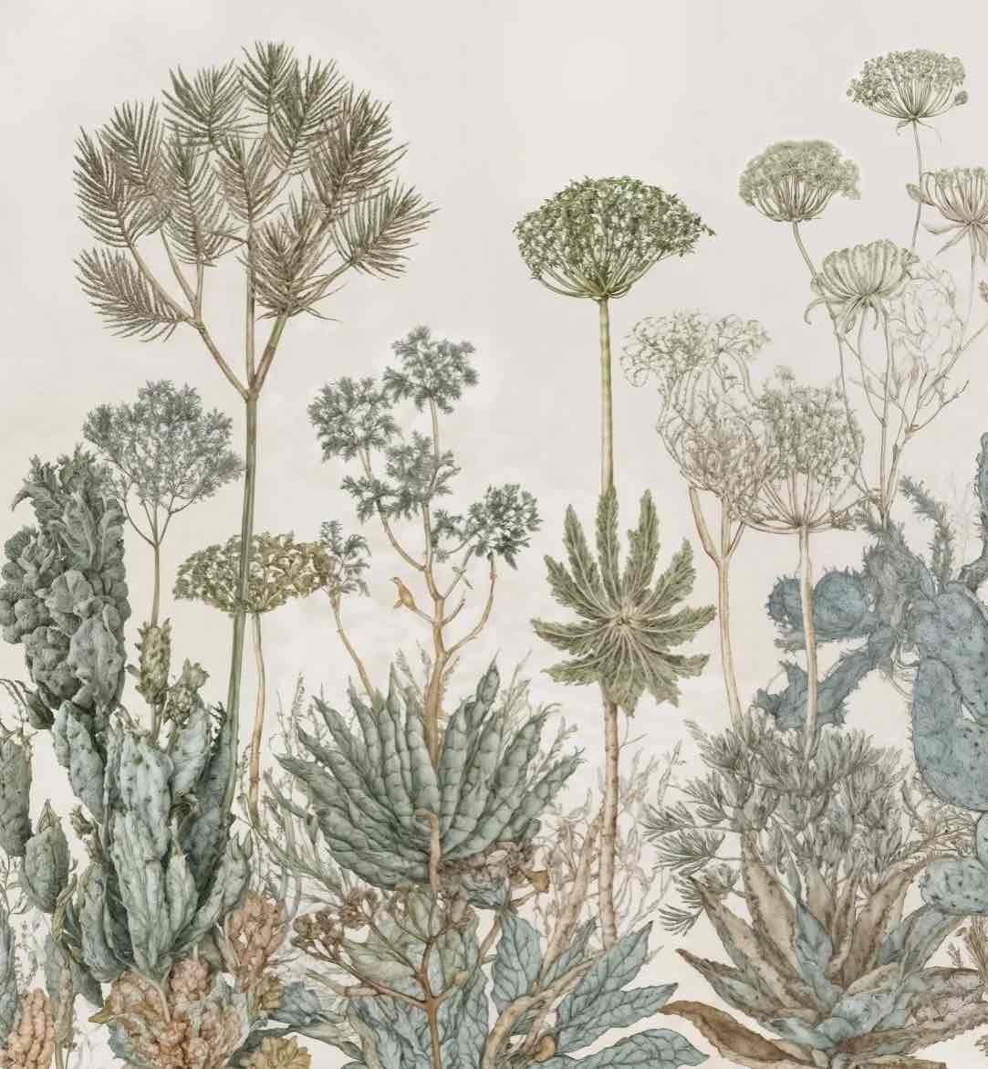 Herbarium Cactus – Papier peint botanique cactus aux tons doux et naturels - Illulart: Papier peint panoramique
