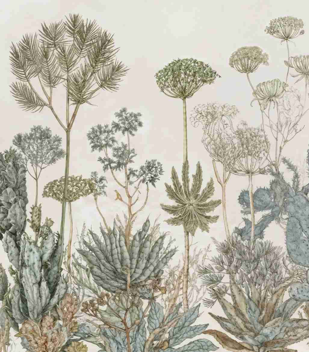 Herbarium Cactus – Papier peint botanique cactus aux tons doux et naturels - Illulart: Papier peint panoramique