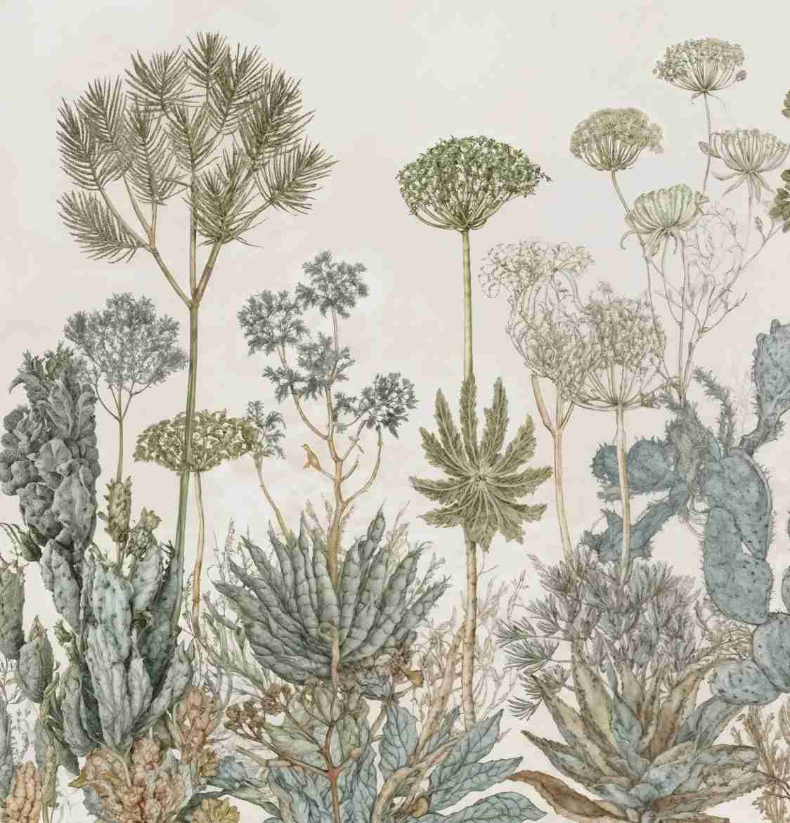 Herbarium Cactus – Papier peint botanique cactus aux tons doux et naturels - Illulart: Papier peint panoramique
