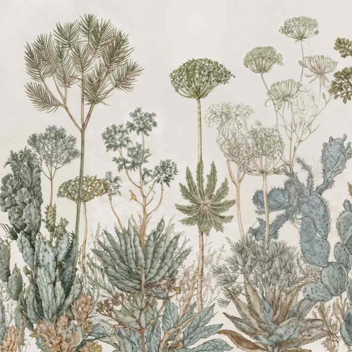 Herbarium Cactus – Papier peint botanique cactus aux tons doux et naturels - Illulart: Papier peint panoramique