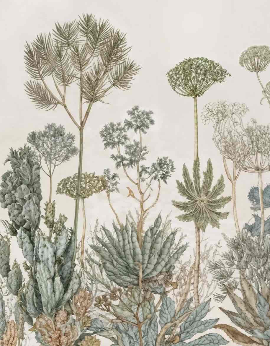 Herbarium Cactus – Papier peint botanique cactus aux tons doux et naturels - Illulart: Papier peint panoramique