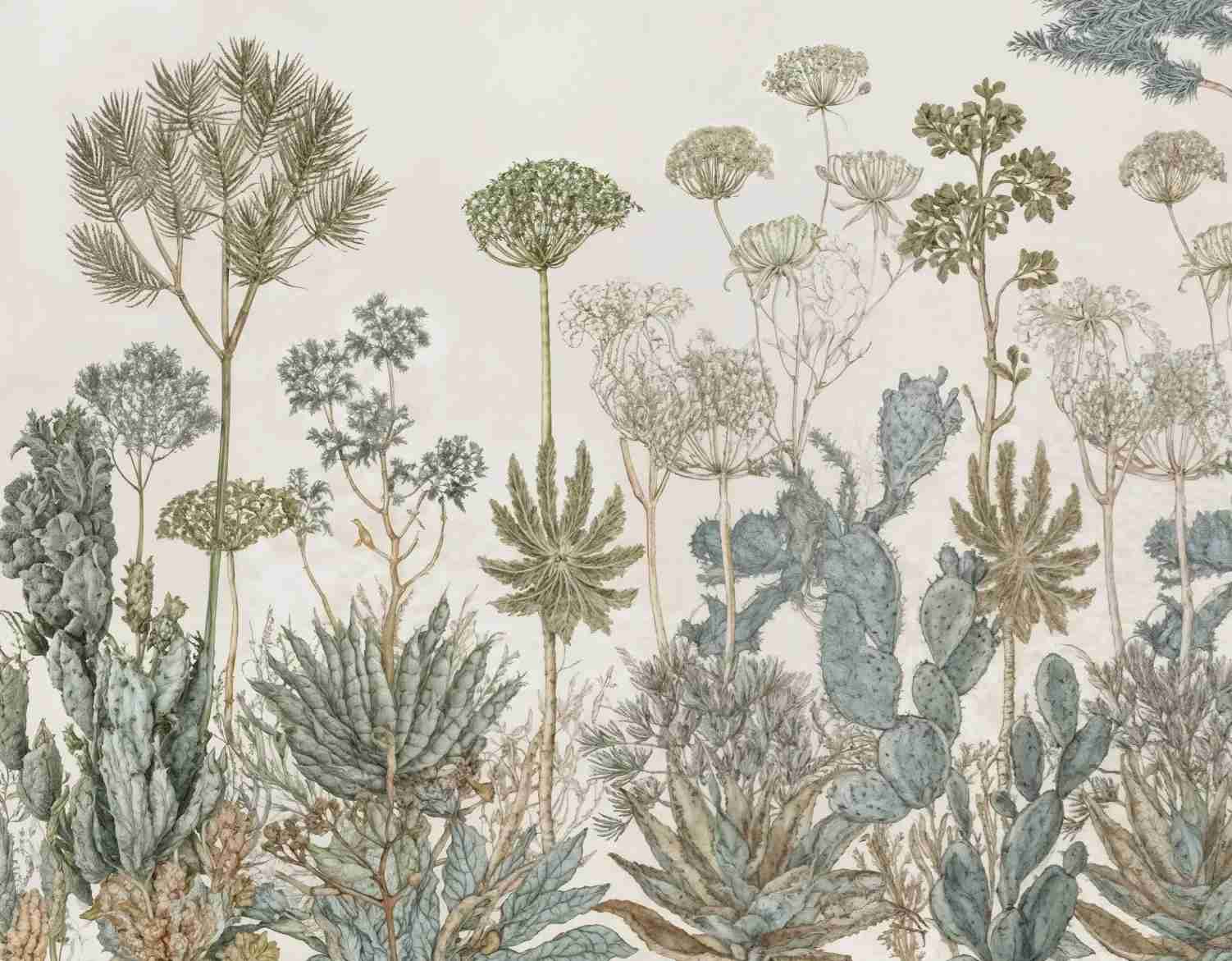 Herbarium Cactus – Papier peint botanique cactus aux tons doux et naturels - Illulart: Papier peint panoramique