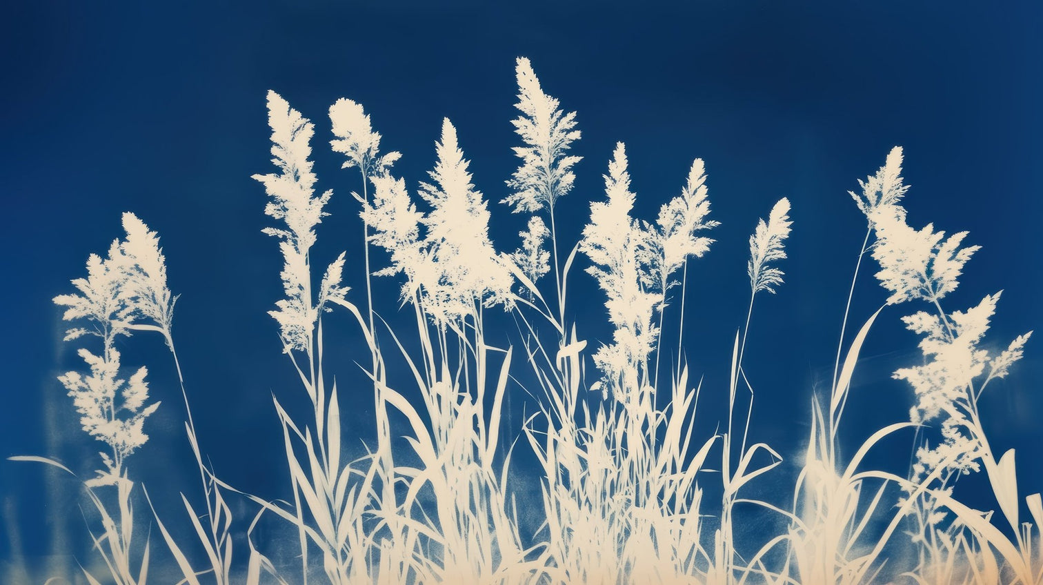 Herbes Folles en Cyanotype - Illulart: Papier peint panoramique