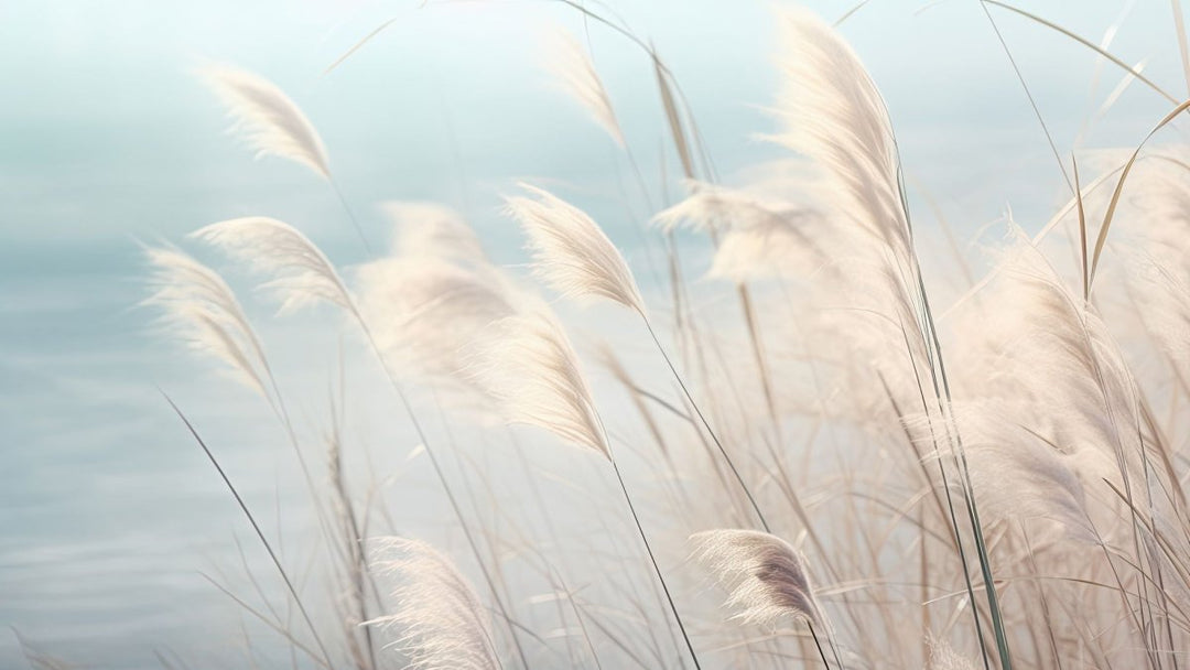 Herbes Sauvages - Illulart: Papier peint panoramique