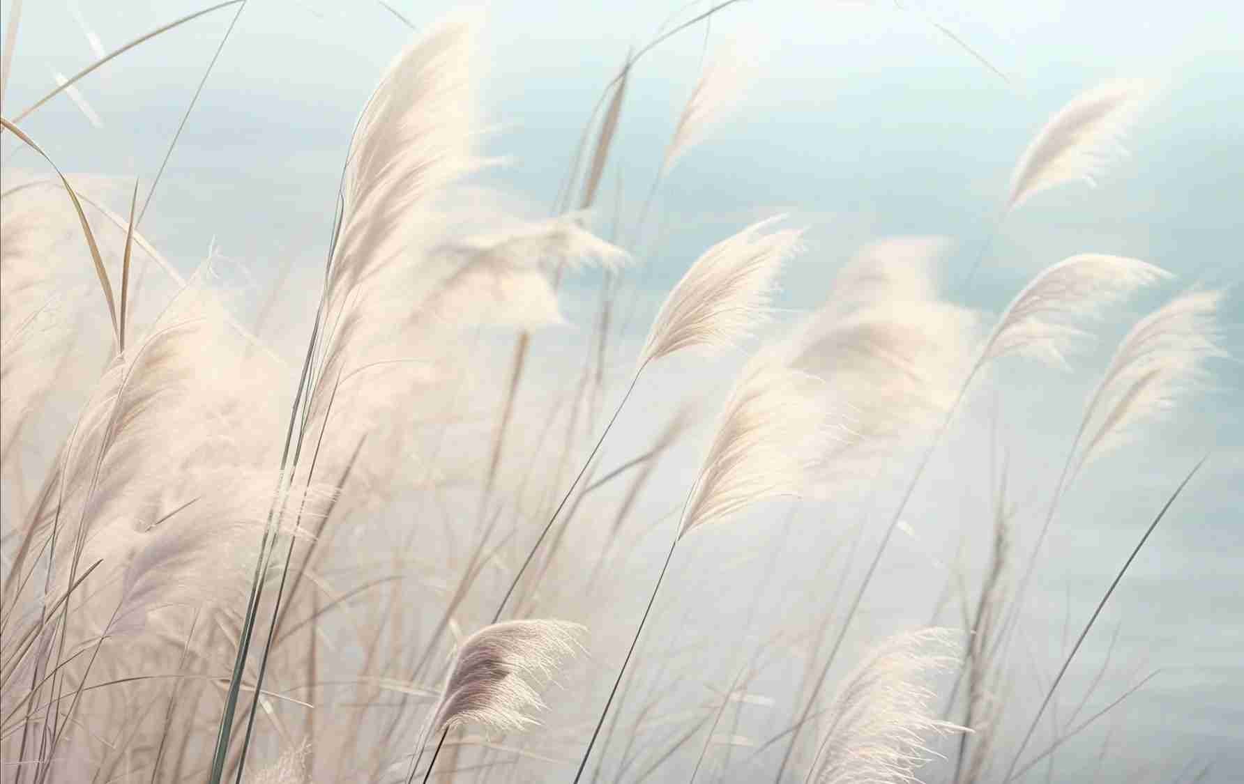 Herbes Sauvages - Panoramique mural