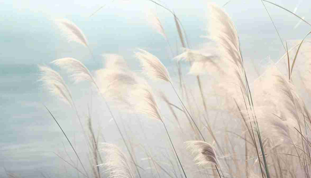 Herbes Sauvages - Panoramique mural - Illulart: Papier peint panoramique