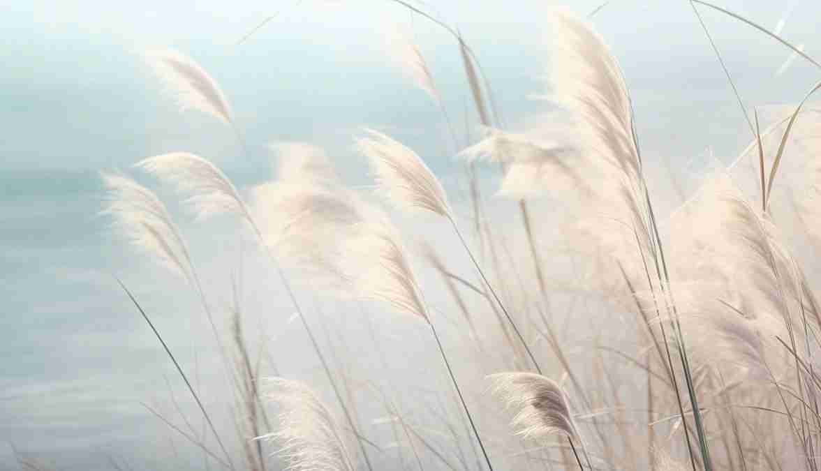 Herbes Sauvages - Panoramique mural - Illulart: Papier peint panoramique