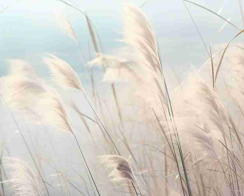 Herbes Sauvages - Panoramique mural - Illulart: Papier peint panoramique